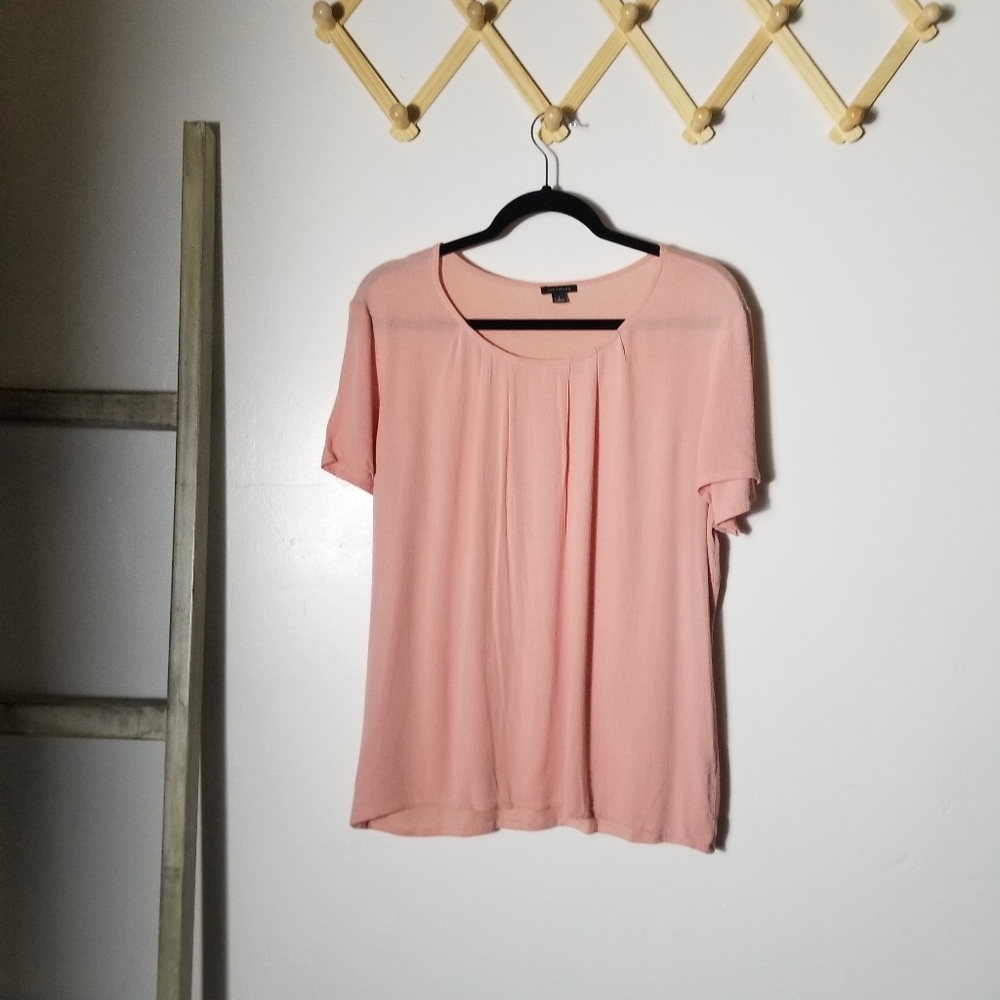 ANN TAYLOR PINK BLOUSE SIZE LARGE